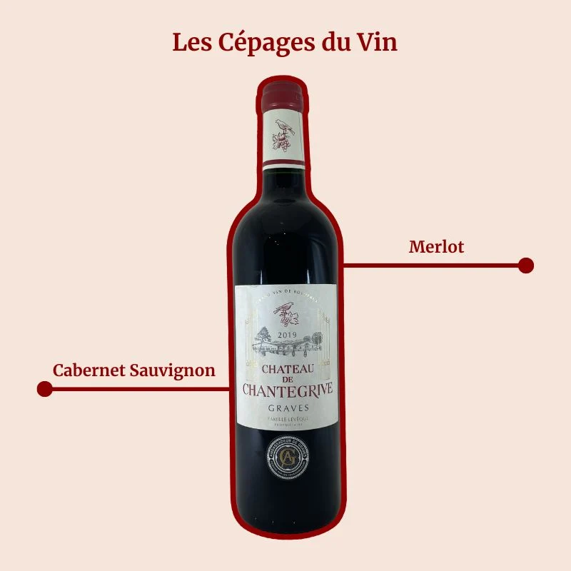 Château de Chantegrive · 2019