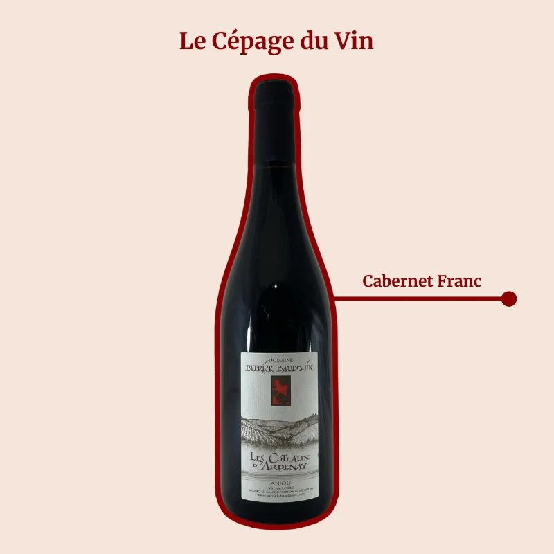 Domaine Patrick Baudouin · Les Côteaux d’Ardenay · 2018