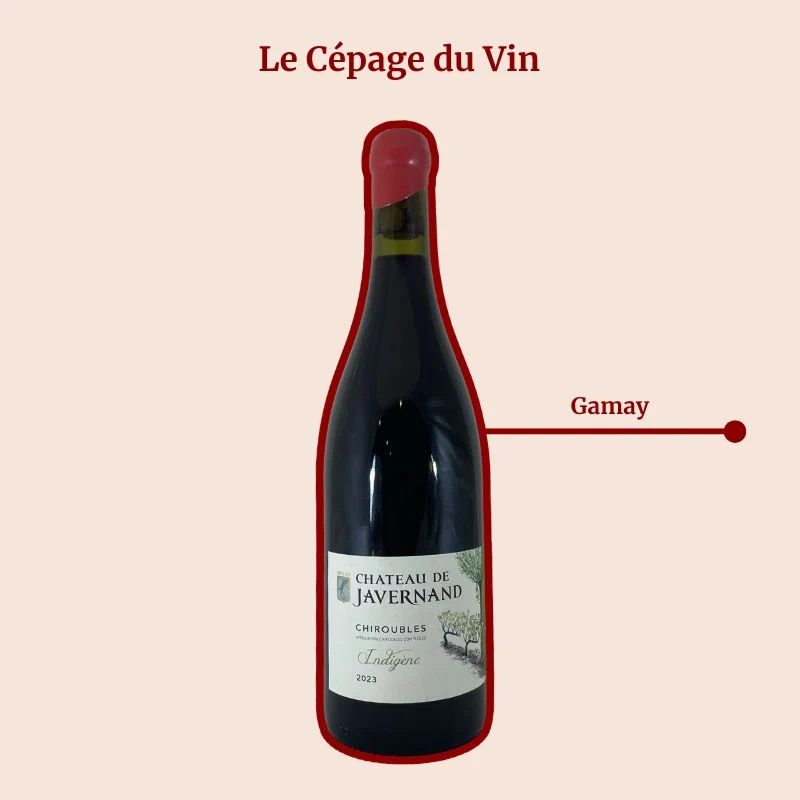 Château Javernand · Indigène · 2023