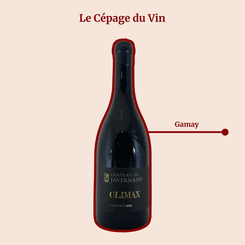 Château Javernand · Climax · 2023