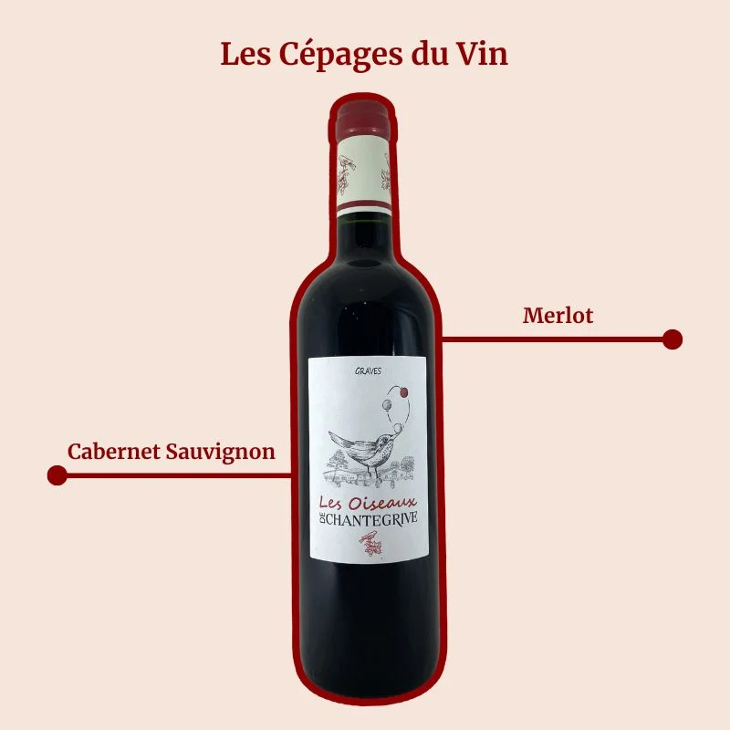 Château de Chantegrive · Les Oiseaux de Chantegrive · L’Origine · 2019