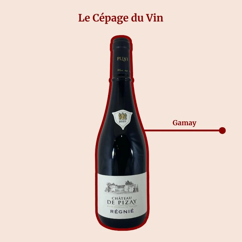 Château de Pizay · 2021
