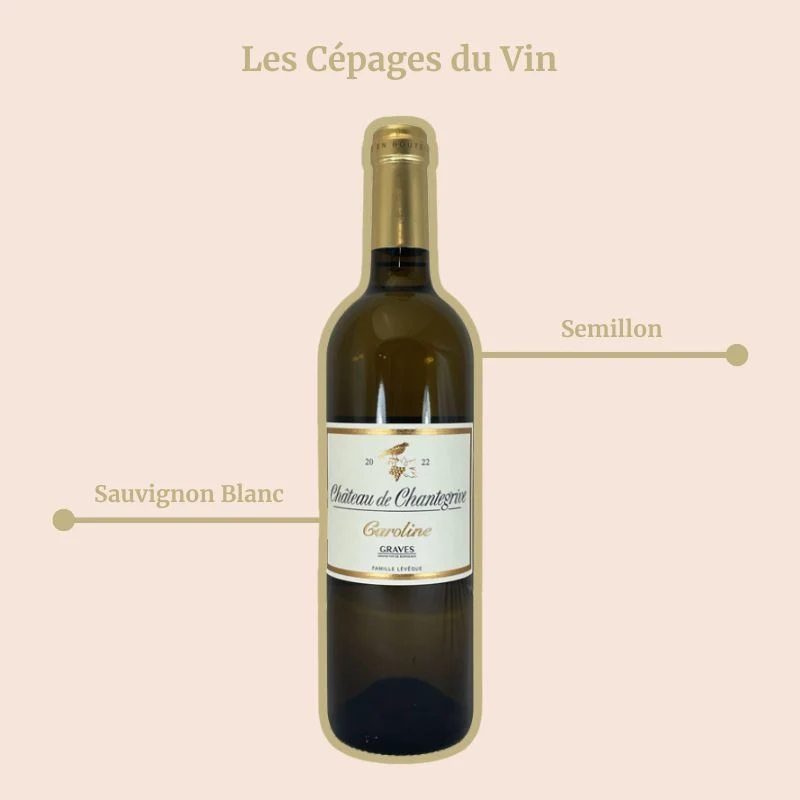 Château de Chantegrive · Caroline · 2022