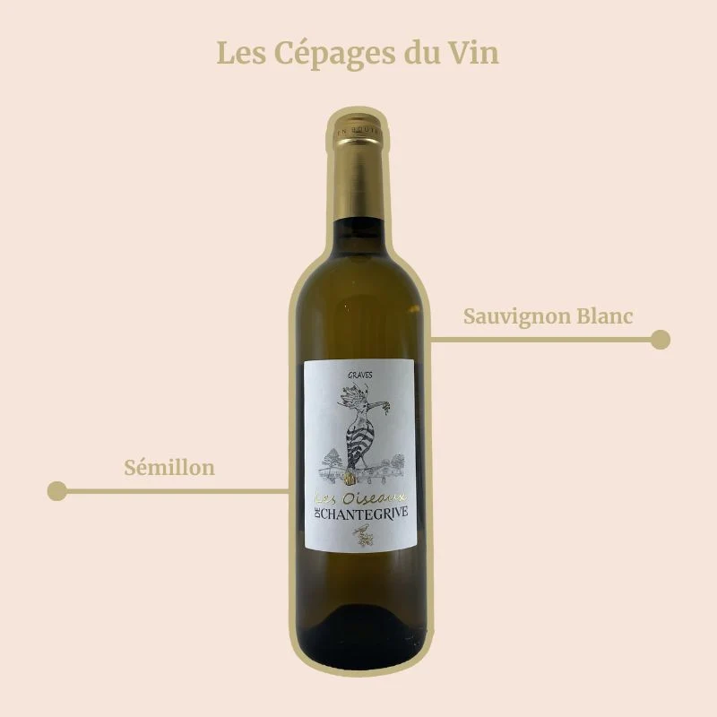 Château de Chantegrive · Les Oiseaux · Le Panache · 2019