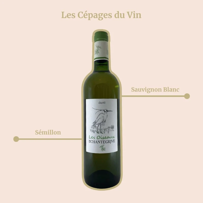 Château de Chantegrive · Les Oiseaux de Chantegrive · Pureté · 2016