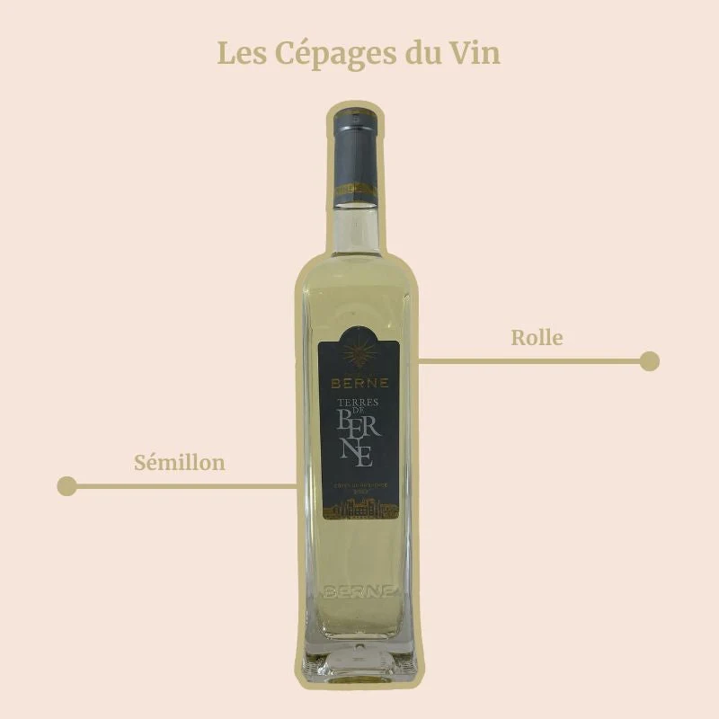 Château de Berne · Terres de Bernes · 2022
