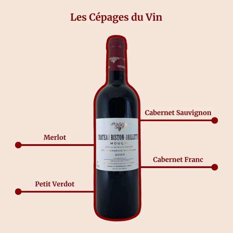 Château Biston-Brillette · 2020
