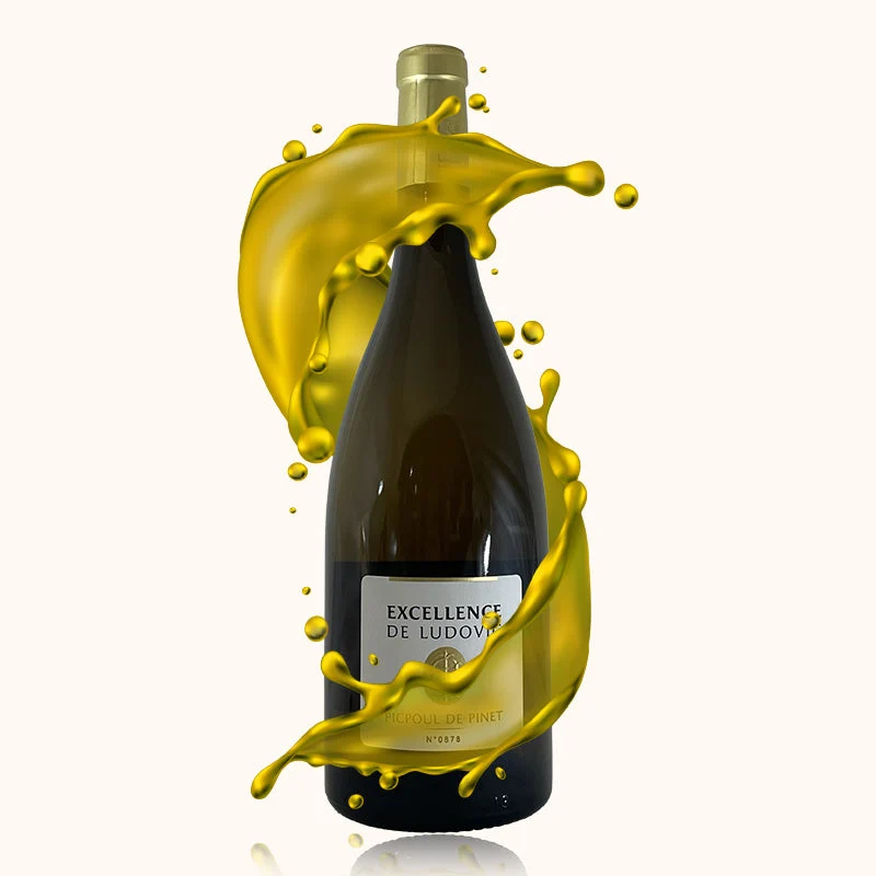 Domaine Gaujal · Excellence de Ludovic · 2024