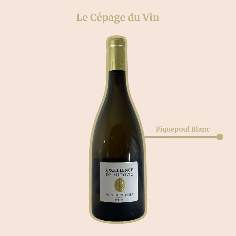 Domaine Gaujal · Excellence de Ludovic · 2024