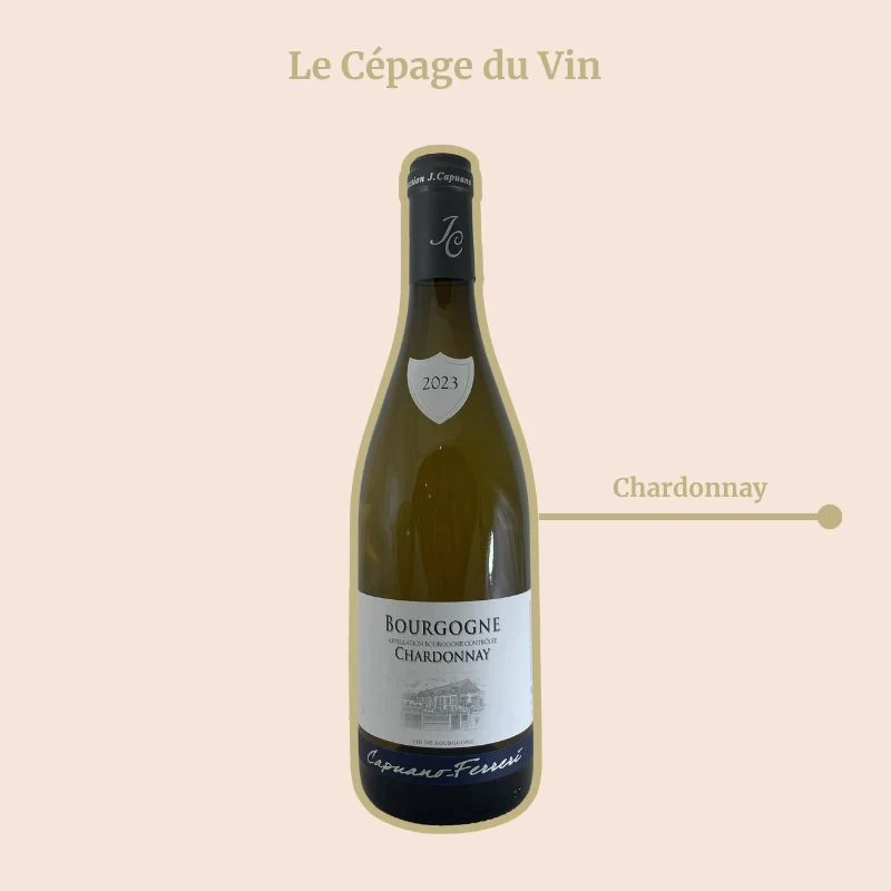 Domaine Capuano Ferreri · 2023