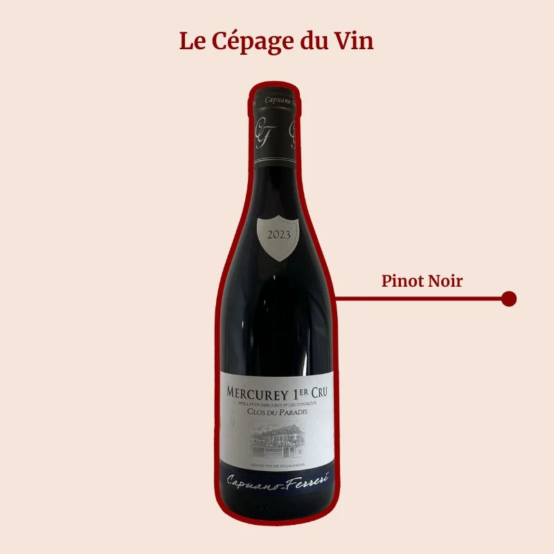 Domaine Capuano Ferreri · Clos du Paradis · 2023