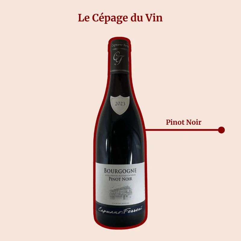 Domaine Capuano Ferreri · 2023