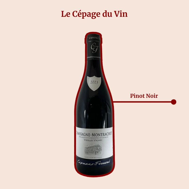 Domaine Capuano Ferreri · Vieilles Vignes · 2023