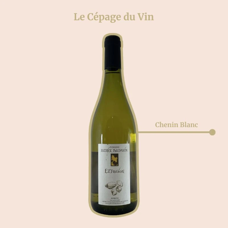 Domaine Patrick Baudouin · Effusion · 2022
