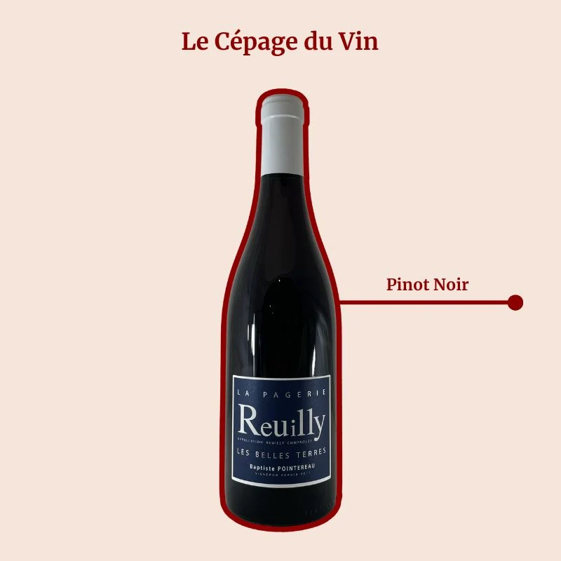 Domaine de La Pagerie · Les Belles Terres · 2021