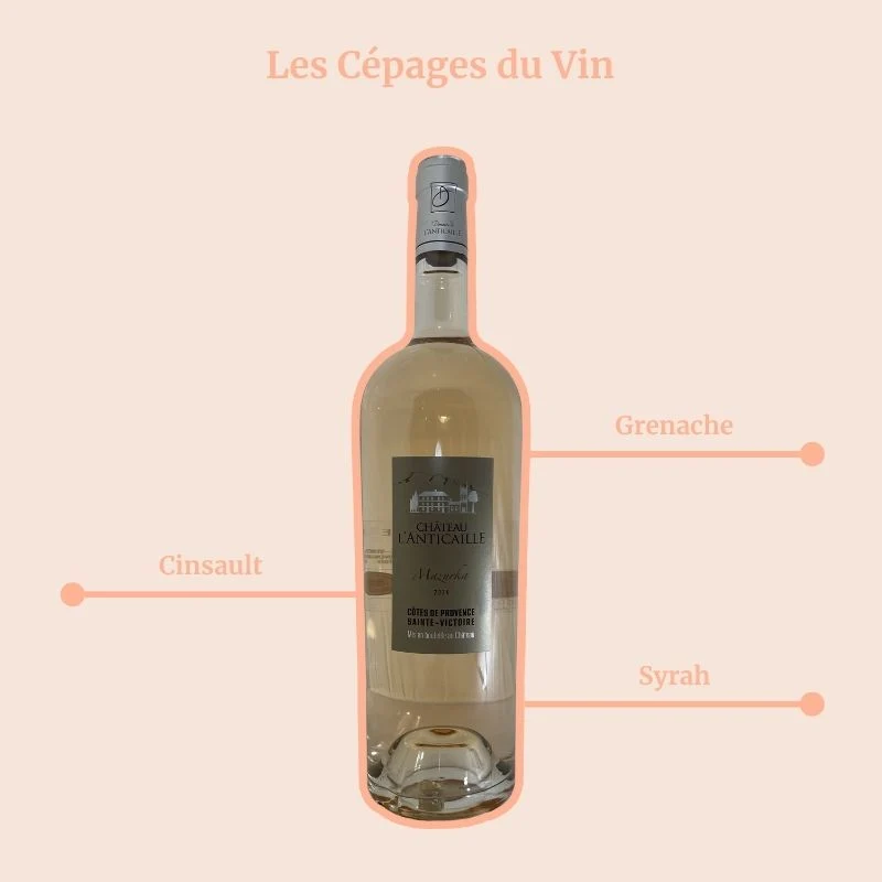 Domaine de l’Anticaille · Mazurka · 2025