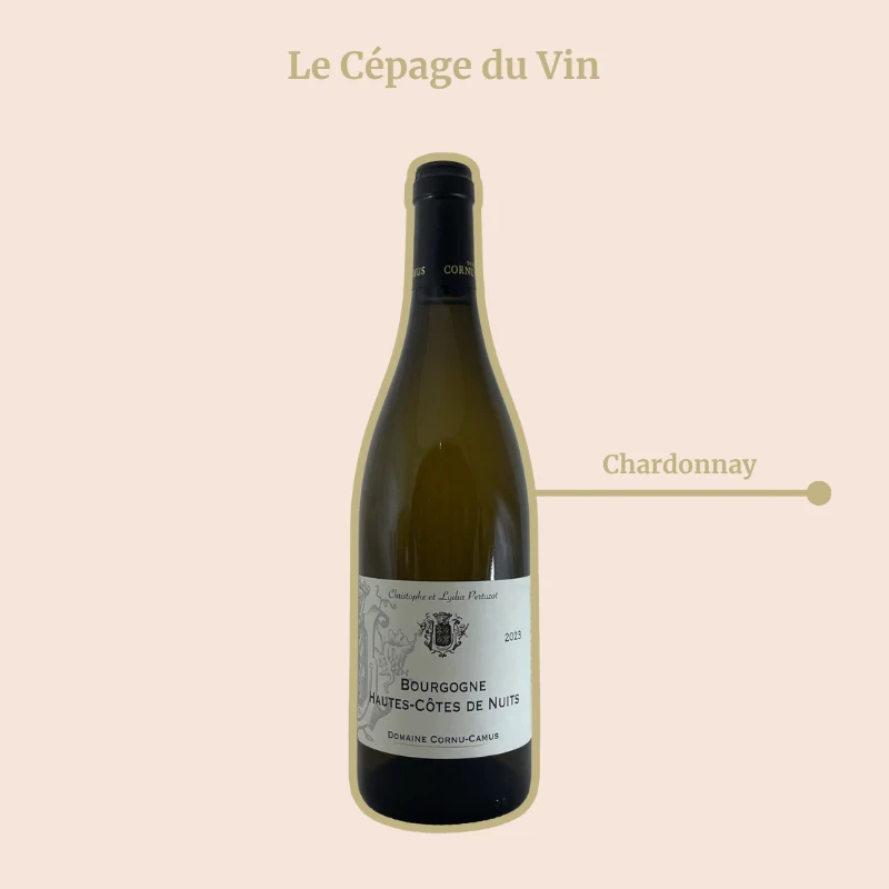 Domaine Cornu-Camus · Hautes-Côtes de Nuits · 2024