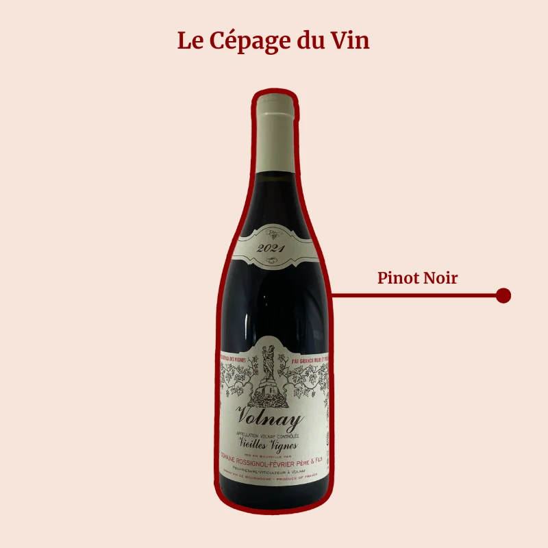 Domaine Rossignol-Février · Vieilles Vignes · 2020