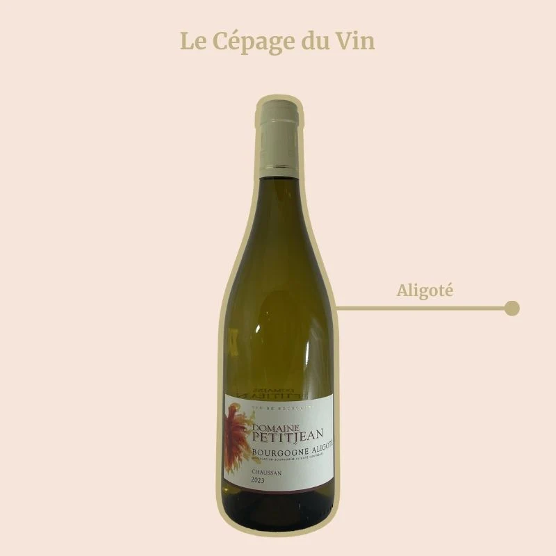 Domaine Petitjean · 2023