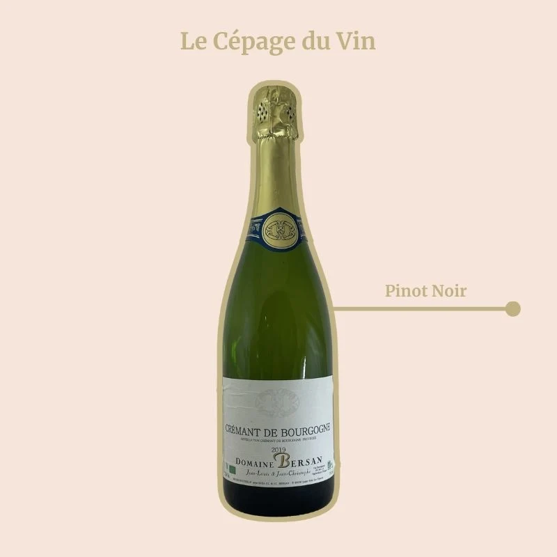 Domaine Bersan · Crémant de Bourgogne · 2019