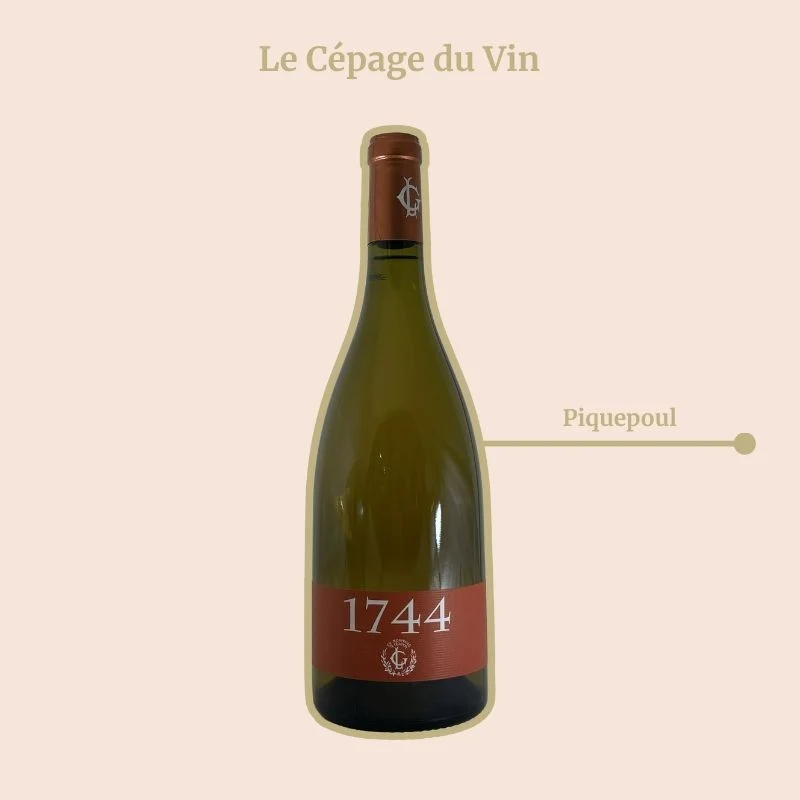 Domaine Gaujal · Cuvée 1744 · 2024