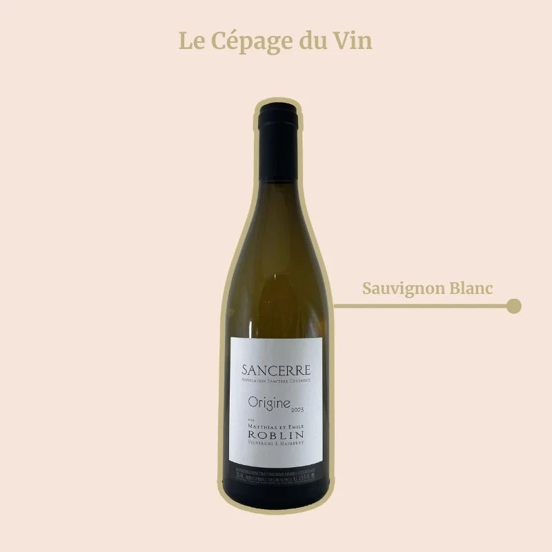Domaine Matthias et Emile Roblin · Origine · 2024