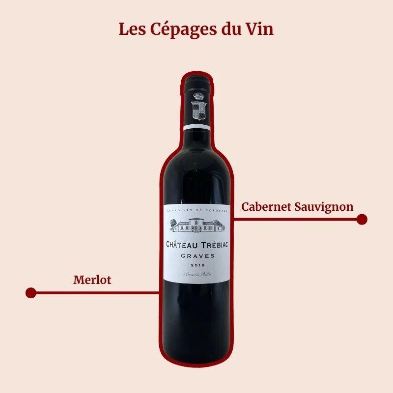 Château Trébiac · 2020