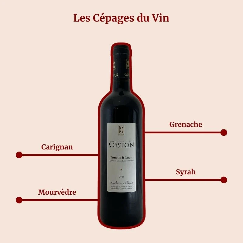 Domaine Coston · 2024