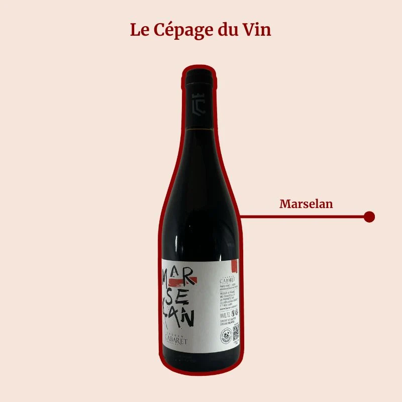 Domaine Lauran Cabaret · Marselan · 2023