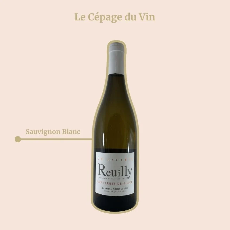 Domaine de la Pagerie · Les Terres de Silice · 2022