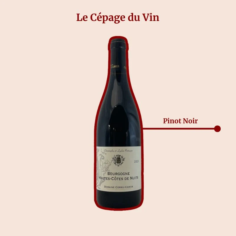 Domaine Valéry Renaudat · Le P’tit Renaudat · 2023