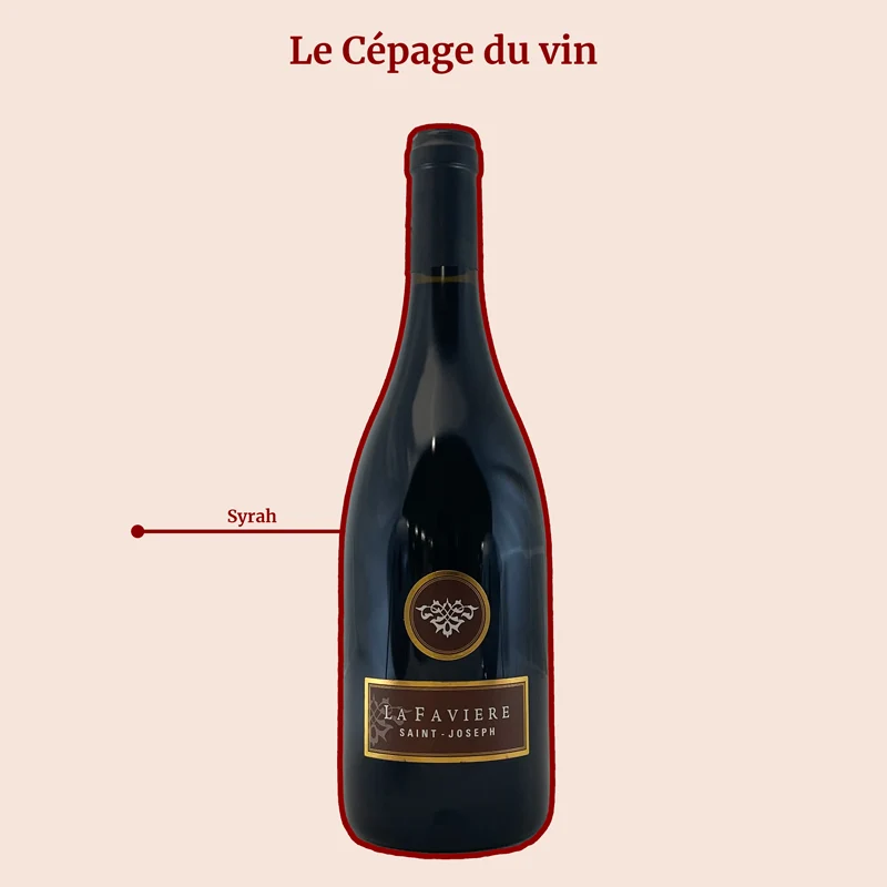 Domaine de la Favière · 2024