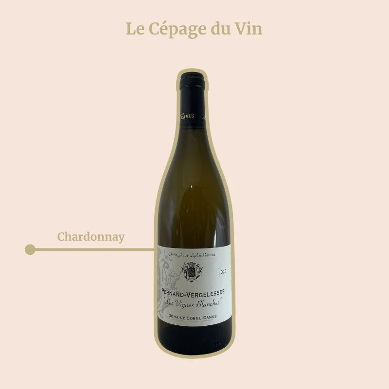Domaine Cornu-Camus · Vinges Blanches · 2023
