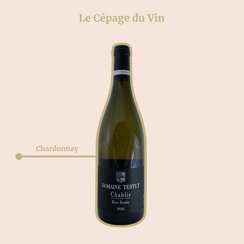 Domaine Testut · Rive Droite · 2022
