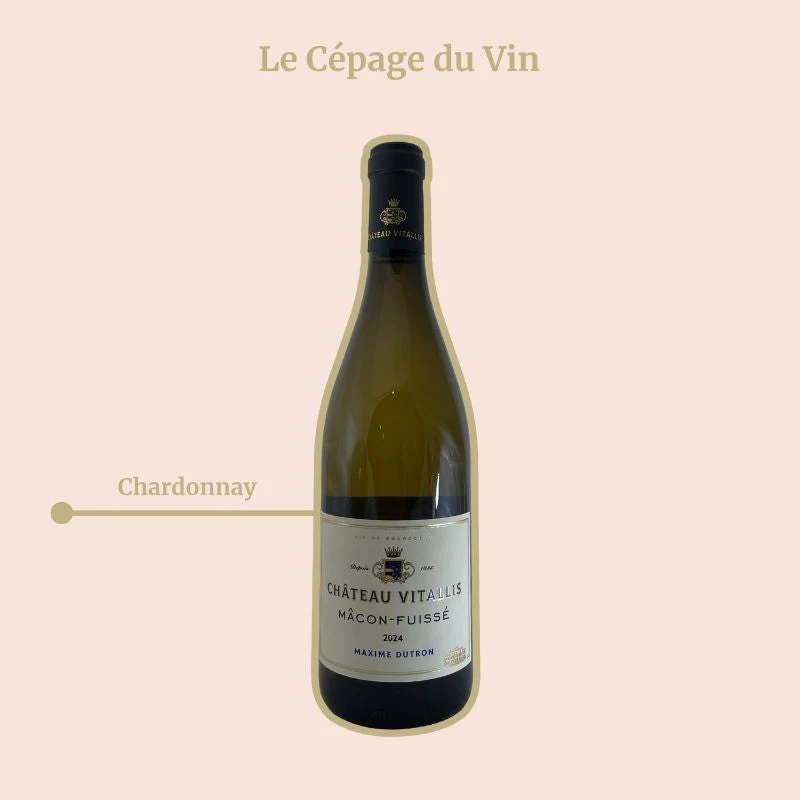 Château Vitallis · 2025