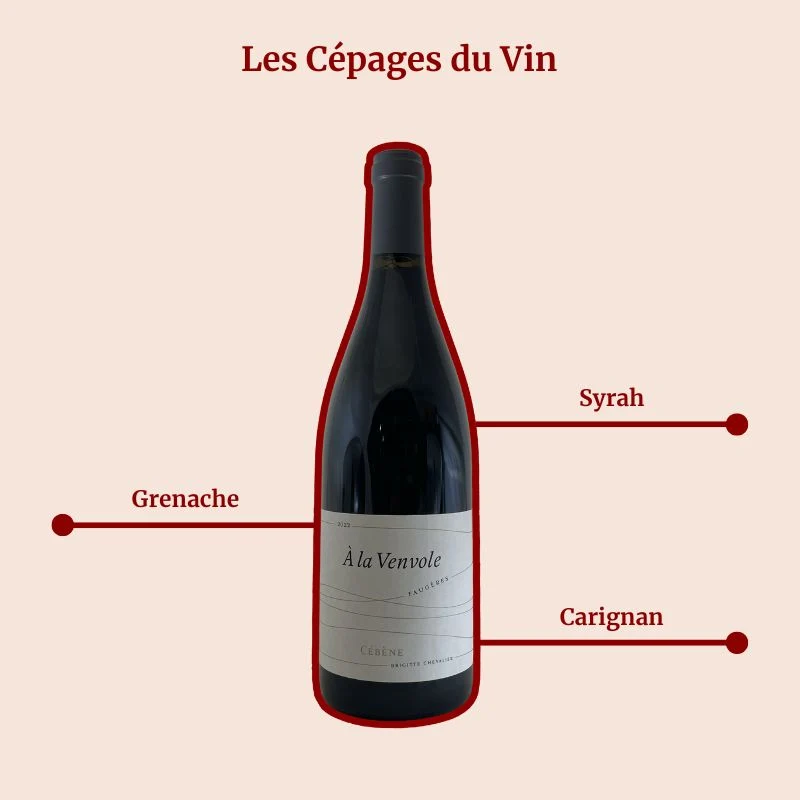 Domaine de Cébène · À la Venvole · 2024