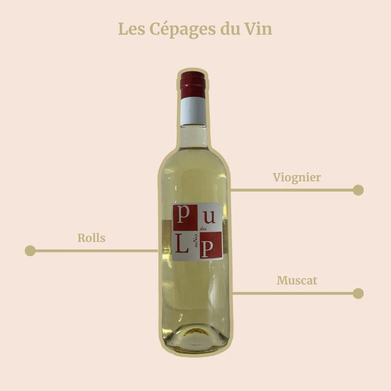 Clos des Nines · Pulp · 2025