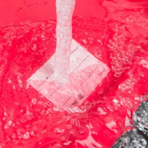 Étiquettes solubles dans l’eau – Bacs alimentaires et gastro (lot de 250)