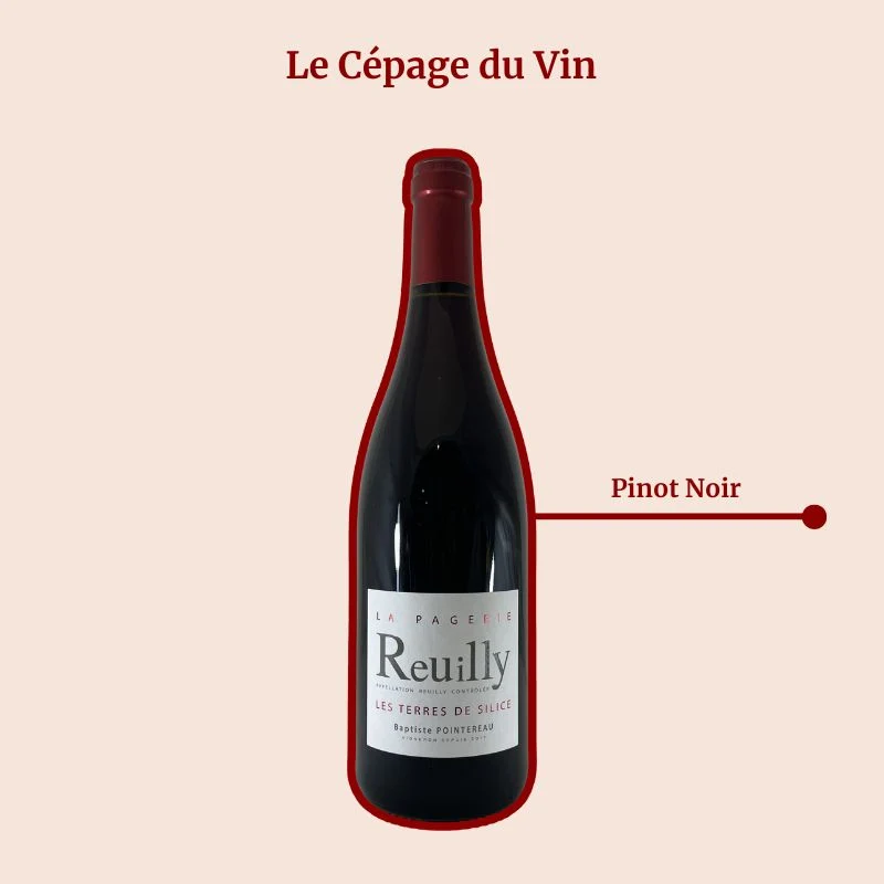 Domaine de la Pagerie · Terre de Silice · 2024