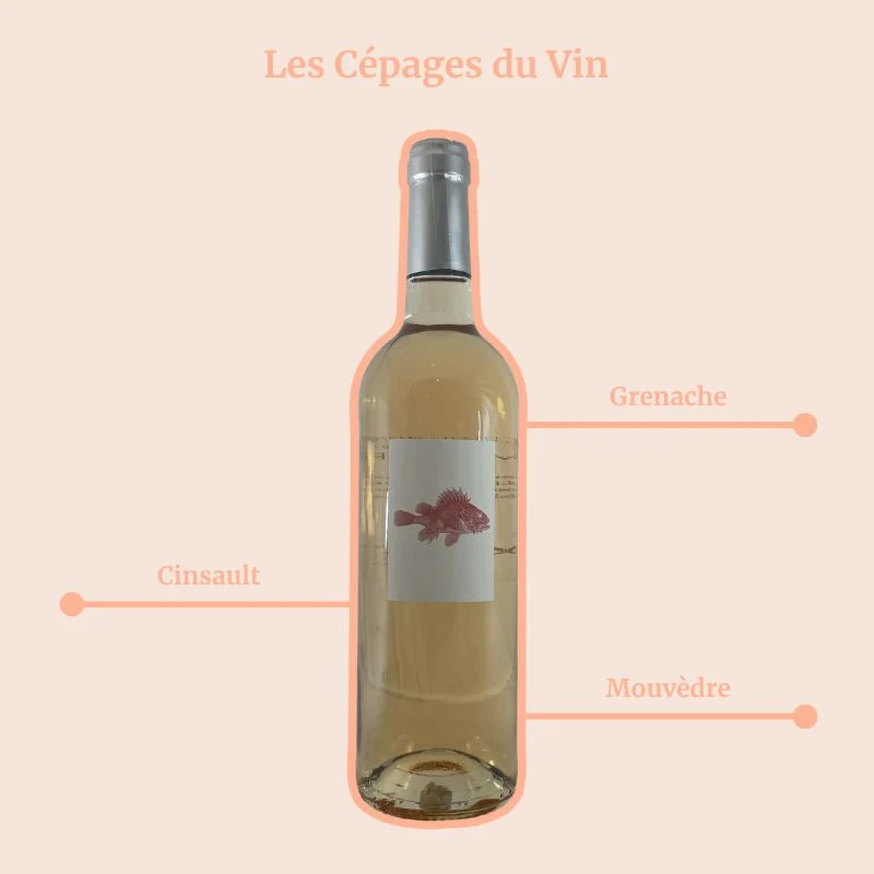 Domaine de l’Olivette · Mare Nostrum - 2025