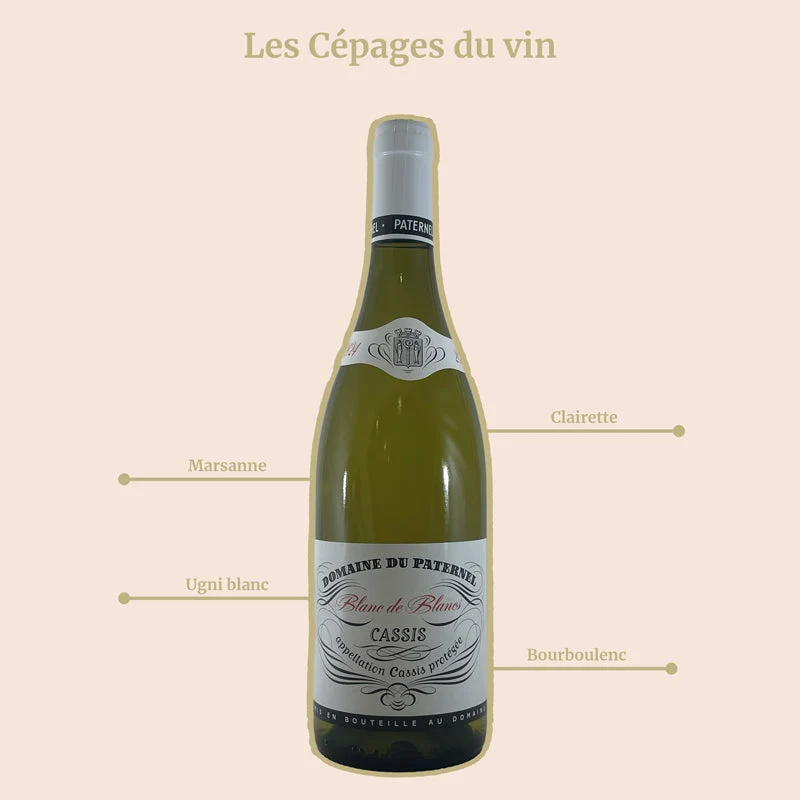 Domaine du Paternel · Blanc de Blanc · 2025