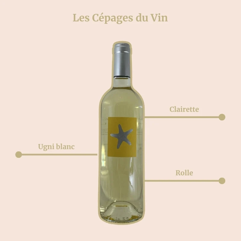 Domaine de l’Olivette · Mare Nostrum · 2025