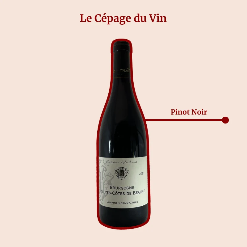 Domaine Cornu-Camus · Hautes Côtes de Beaune · 2023