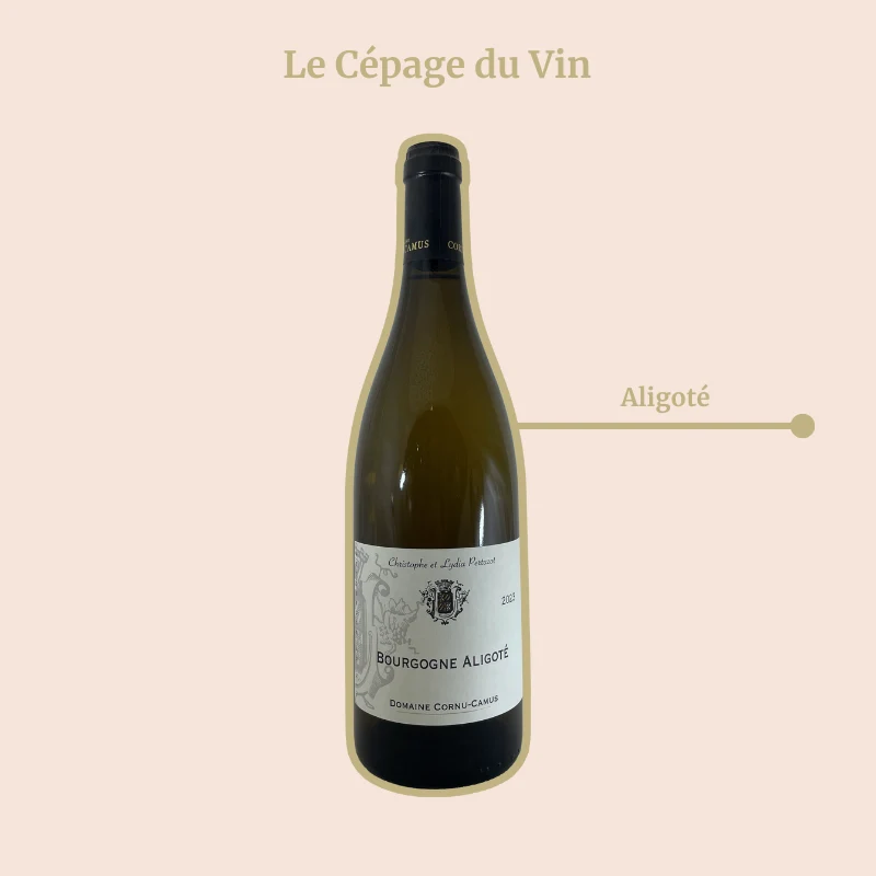 Domaine Cornu-Camus · Bourgogne Aligoté · 2023