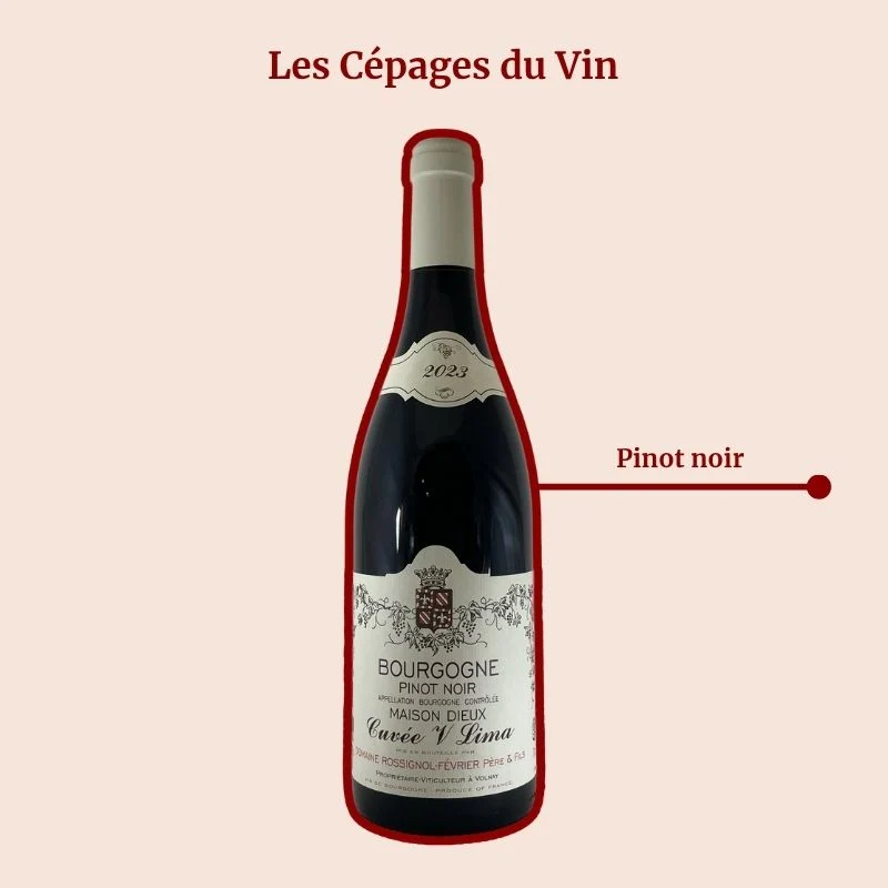 Domaine Rossignol-Février · Cuvée V Lima · 2023