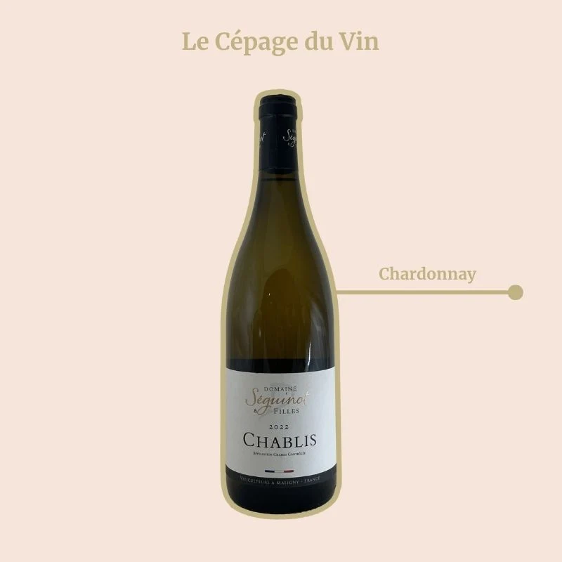 Domaine Séguinot & Filles · Chablis · 2024