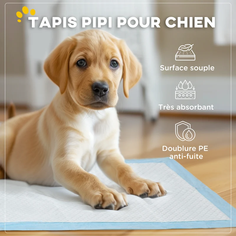 Lot de 80 tapis d'entraînement pour chien intérieur 60 x 60 cm absorption anti-fuite moderne en tissu non tissé bleu 21_0007381