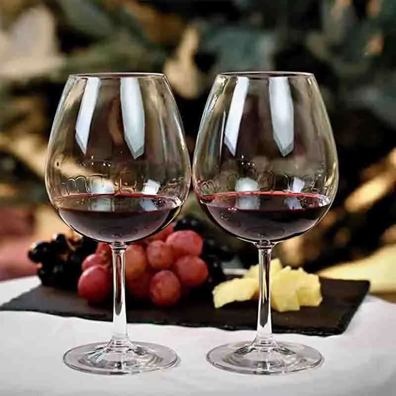 Lot 4 verres à Vin en Plastique Tritan Ballon 250ml