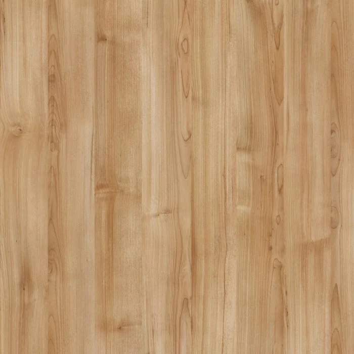 Bande de chant - Tofino L564