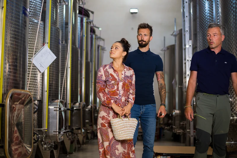 Visite de Cave & Dégustation